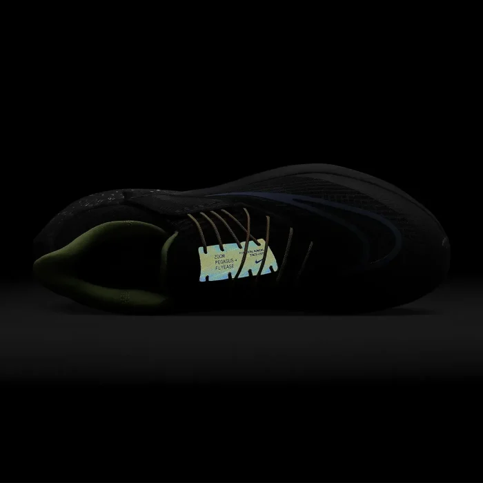 کفش مردانه نایک مدل Nike AIR ZOOM PEGASUS FLYEASE HD DZ4847-001 در گلکو